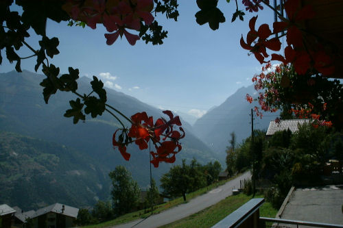 bild014.jpg