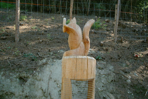 bild019.jpg