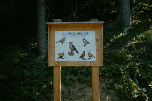 bild021.jpg
