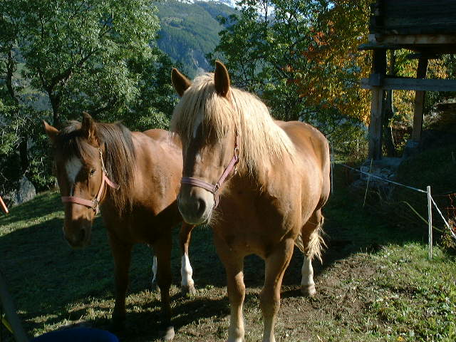 dscf0023.jpg