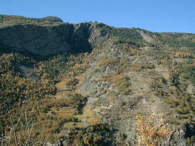 dscf0040.jpg