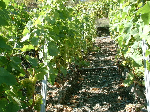 dscf0012.jpg