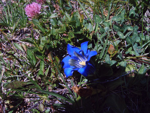 bild049.jpg