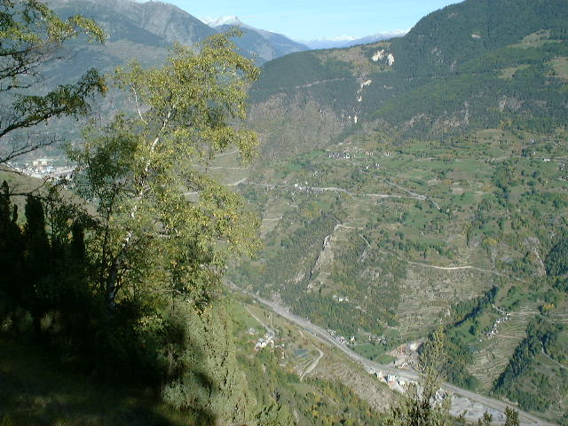 dscf0026.jpg