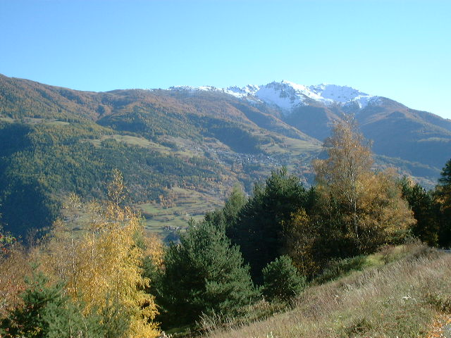 dscf0038.jpg