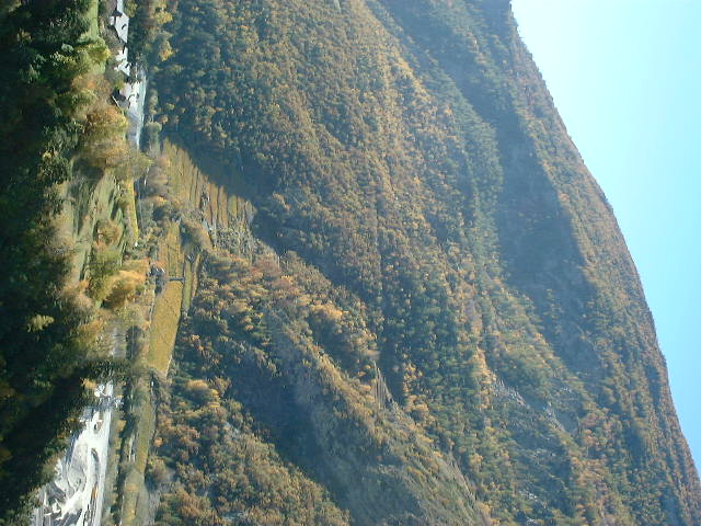 dscf0041.jpg