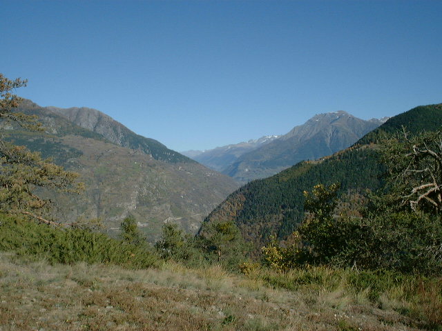dscf0046.jpg