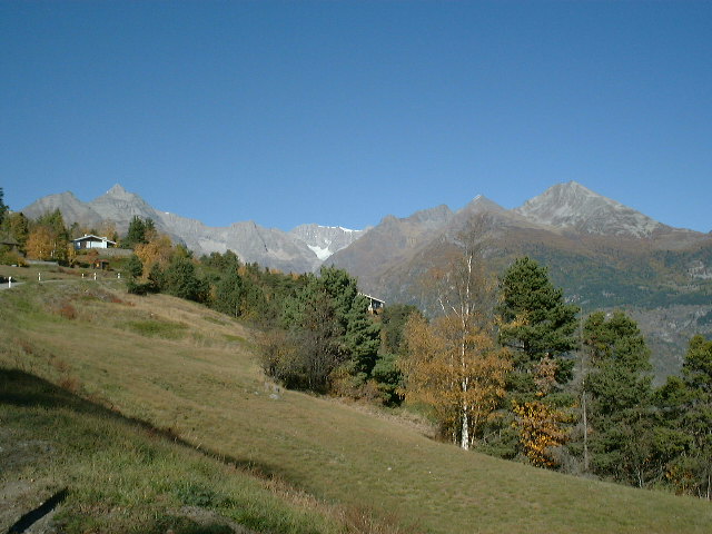dscf0049.jpg