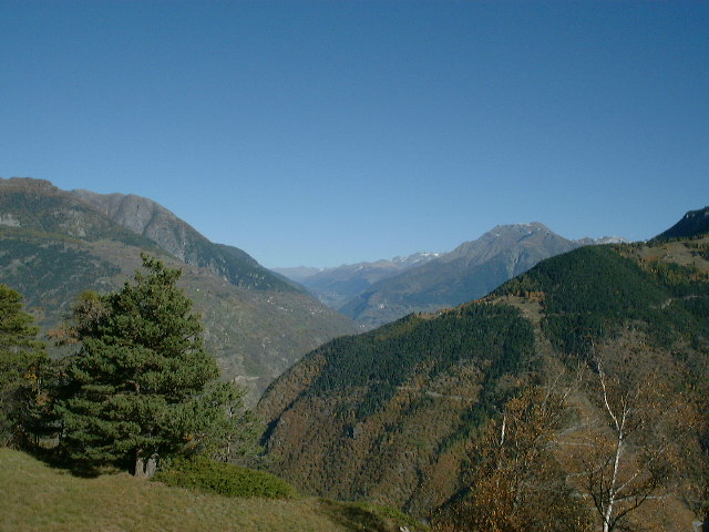 dscf0050.jpg