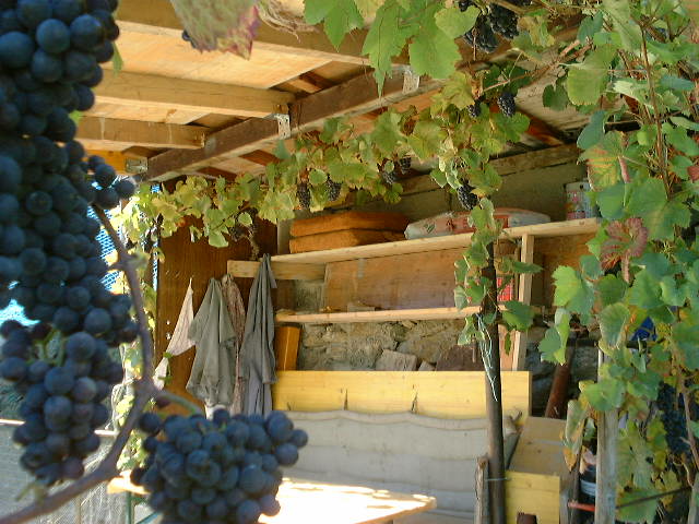 dscf0007.jpg