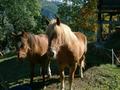 dscf0023.jpg