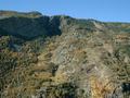 dscf0040.jpg