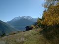 dscf0044.jpg