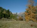 dscf0045.jpg