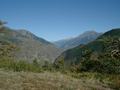 dscf0046.jpg