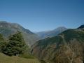 dscf0050.jpg